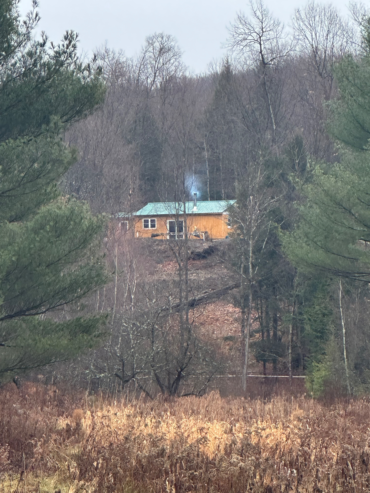 Beautiful Vermont Home in private setting on 300 acres - Photo 2