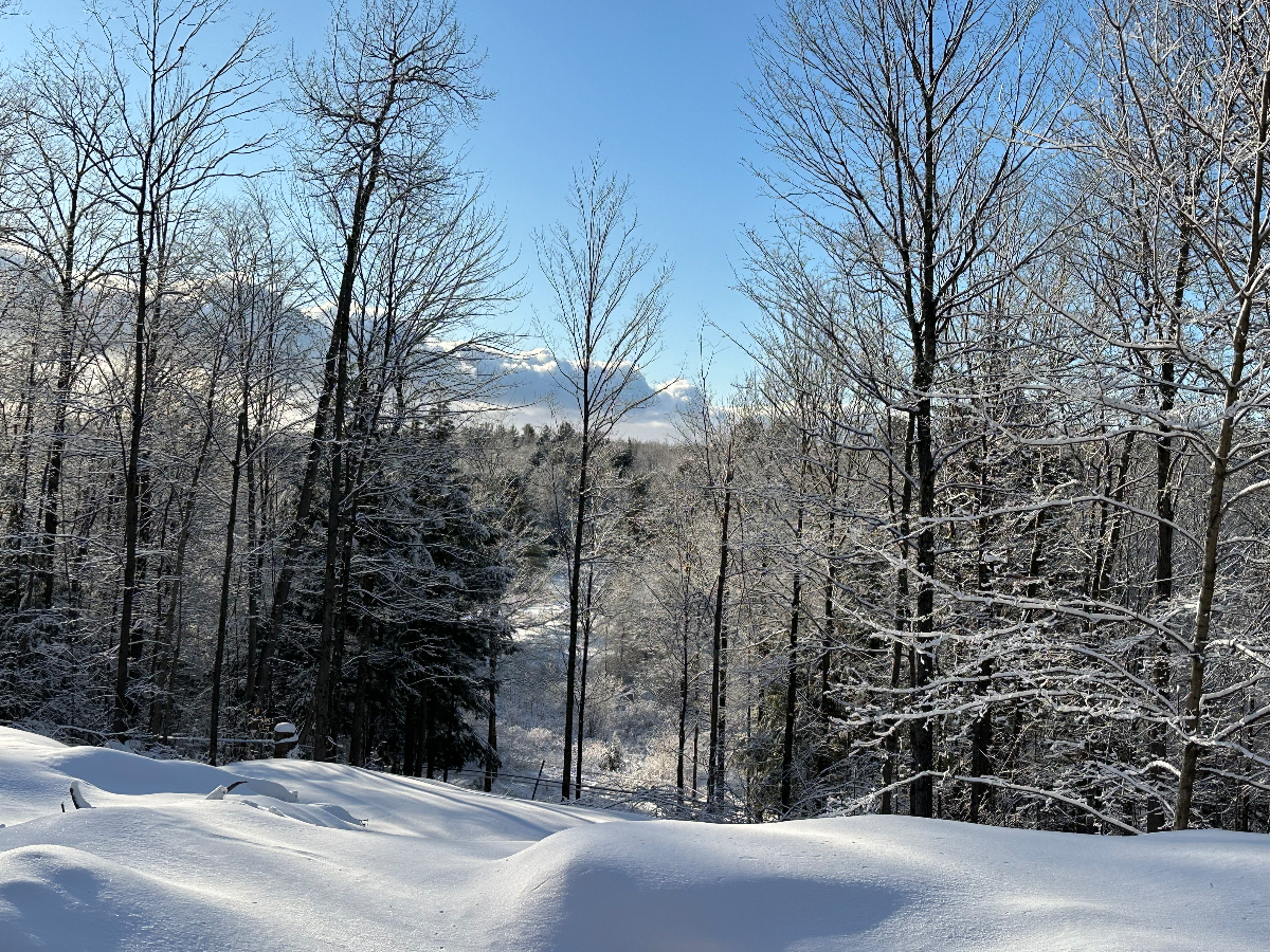 Beautiful Vermont Home in private setting on 300 acres - Photo 8