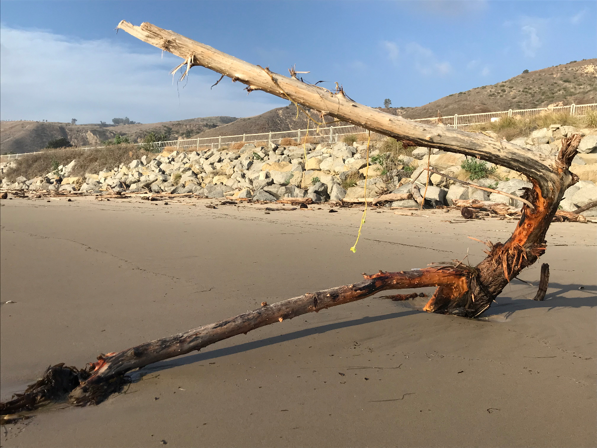 Stylish Modern Home at La Conchita Beach 30-90days only - Photo 4