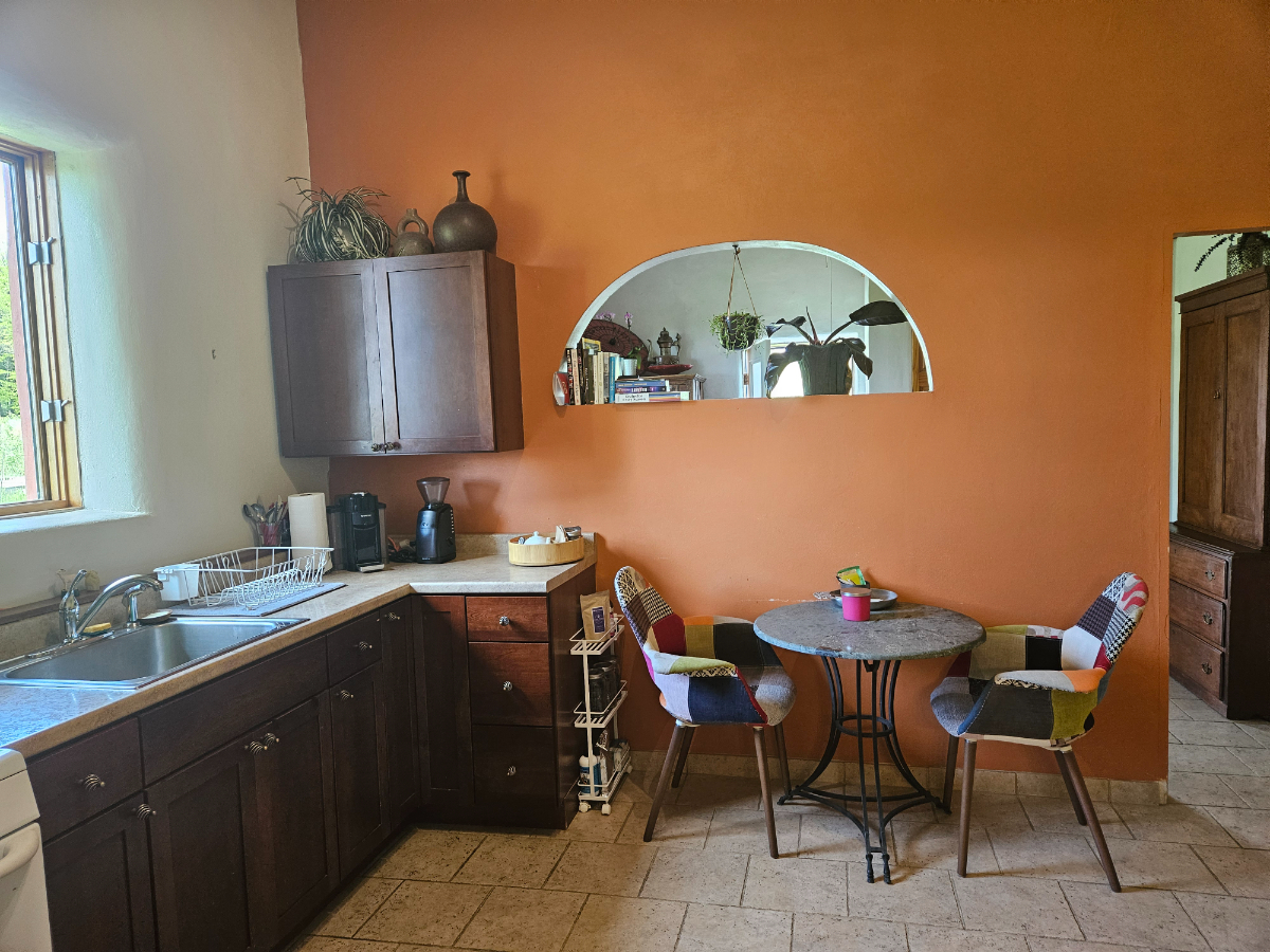 Beautiful Retreat Minutes to Downtown/BMH/Retreat - Photo 6