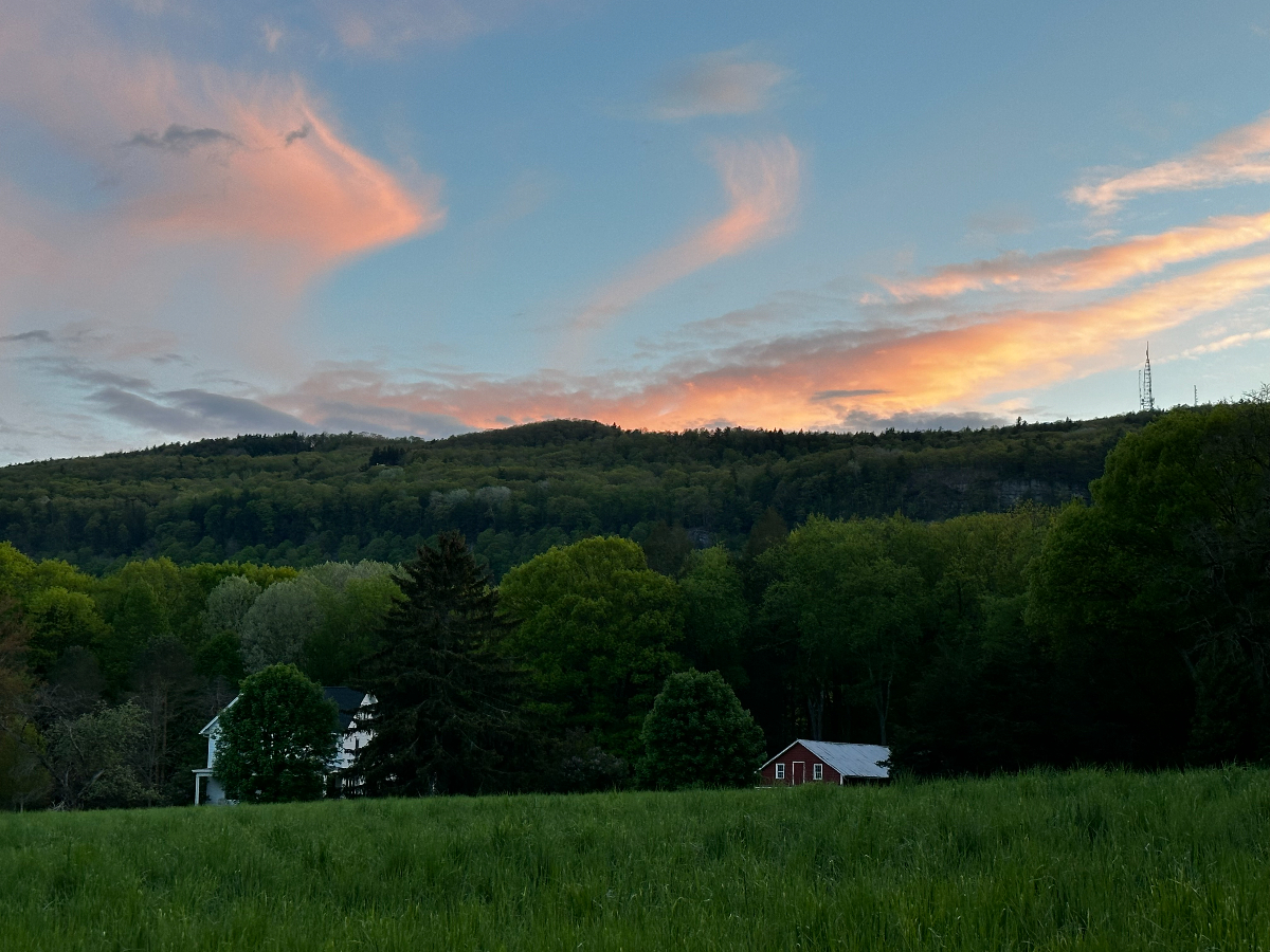 Picard Road Helderberg Homestead - Photo 2