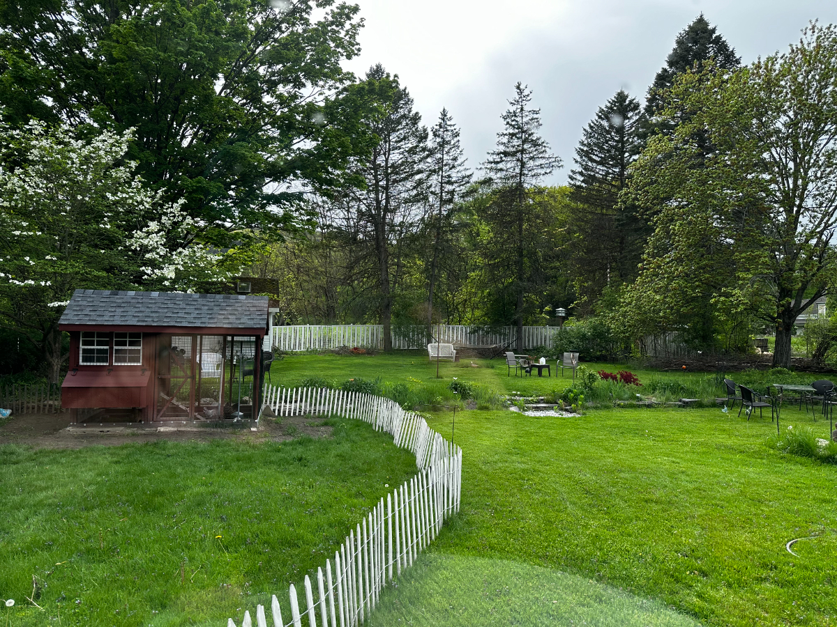 Picard Road Helderberg Homestead - Photo 3
