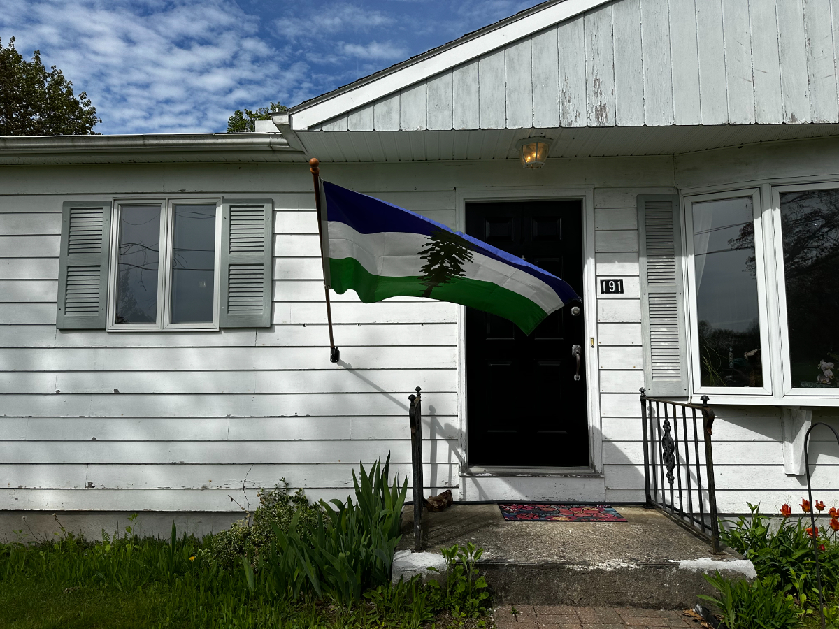 Picard Road Helderberg Homestead - Photo 11
