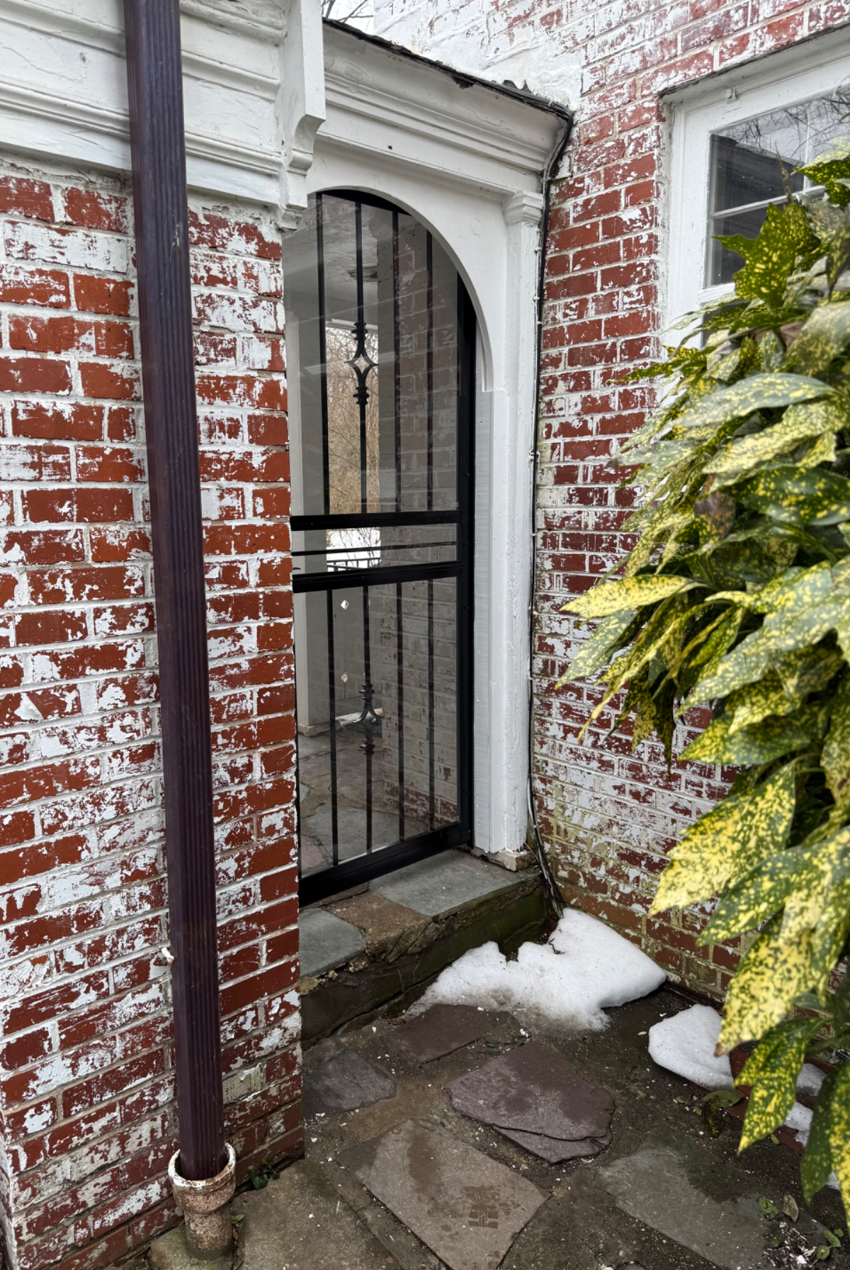 GORGEOUS FURNISHED BASEMENT APARTMENT IN WASHINGTON DC - Photo 11