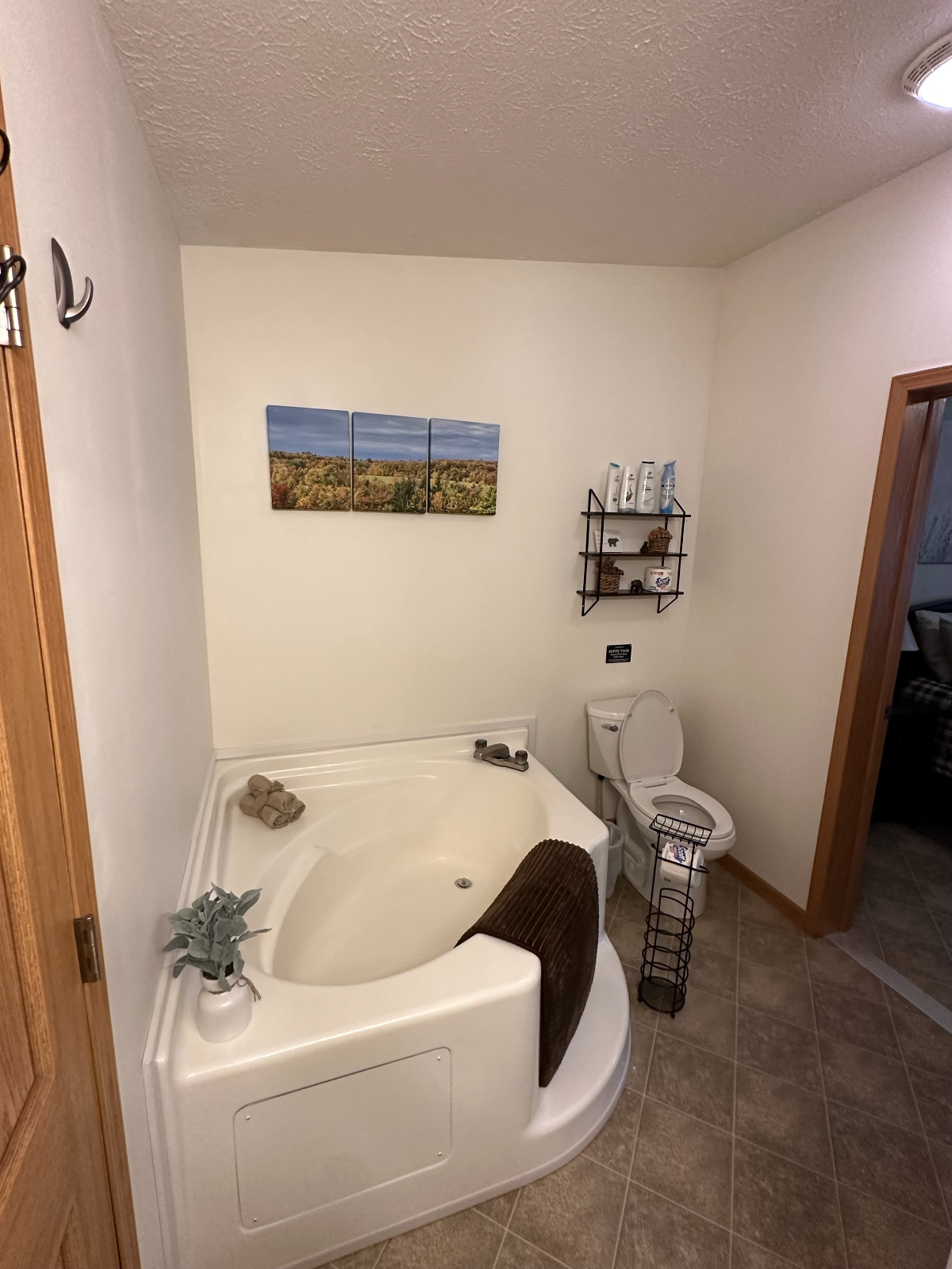 Quiet home just outside of Oneonta ideal for traveling nurses or professionals. - Photo 10