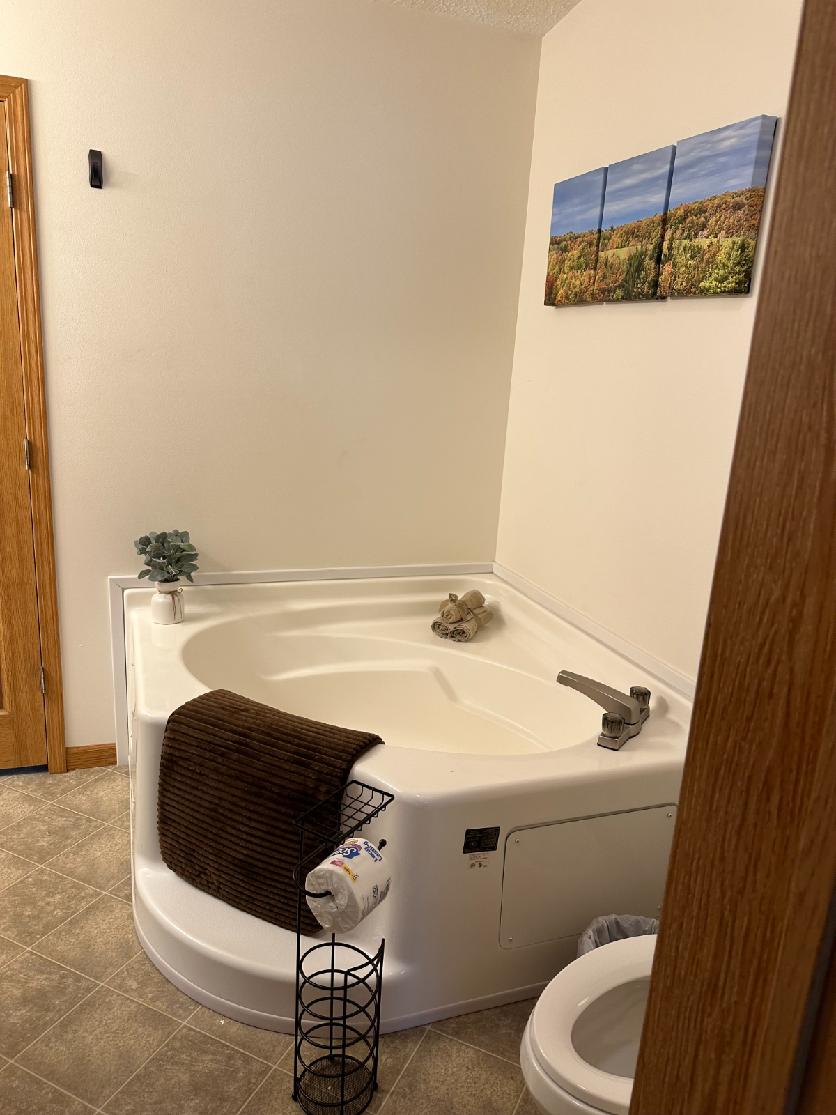 Quiet home just outside of Oneonta ideal for traveling nurses or professionals. - Photo 11
