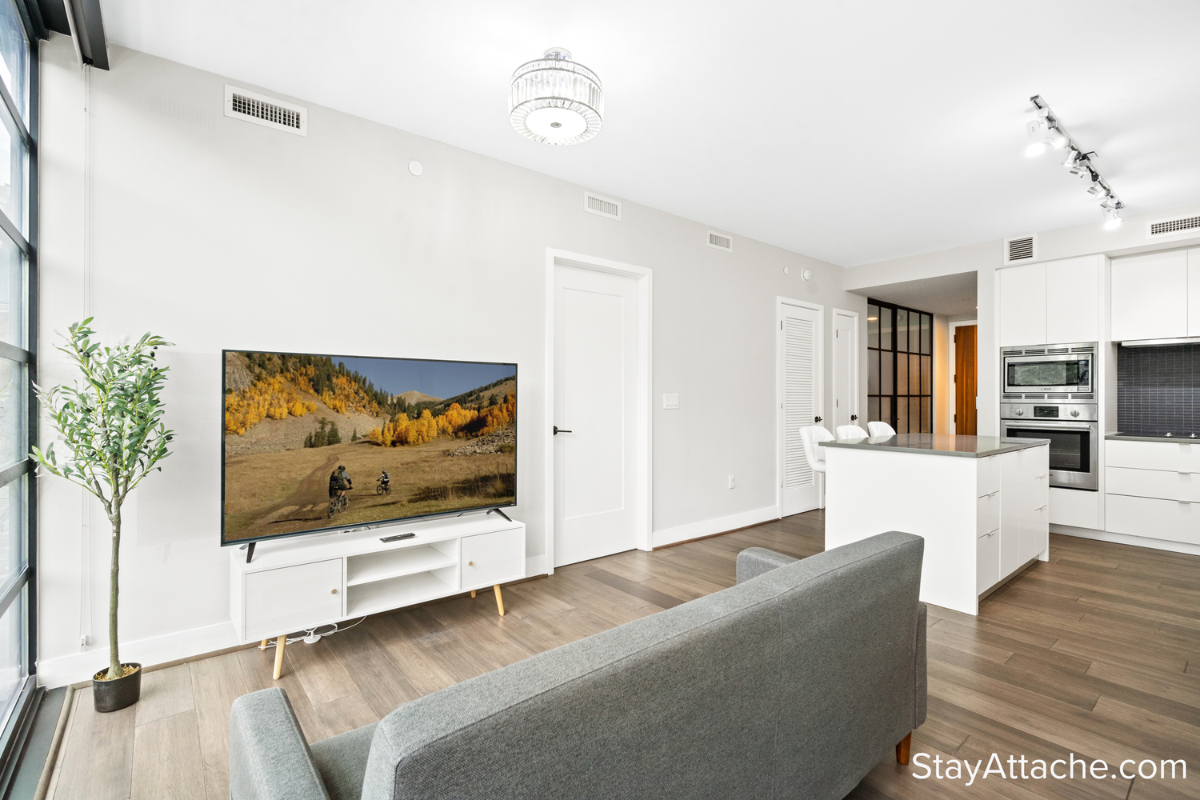 Luxury Condo in DC Navy Yard - Photo 2