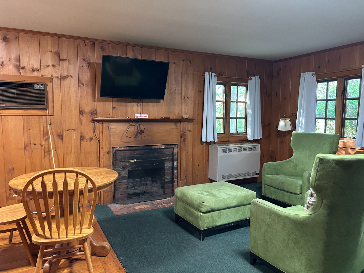 Cabin 20-- Studio with Kitchen - Photo 8