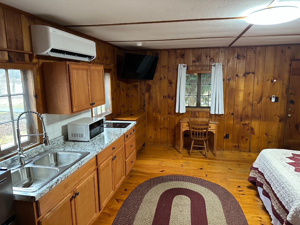 Cabin 20-- Studio with Kitchen - Photo 5