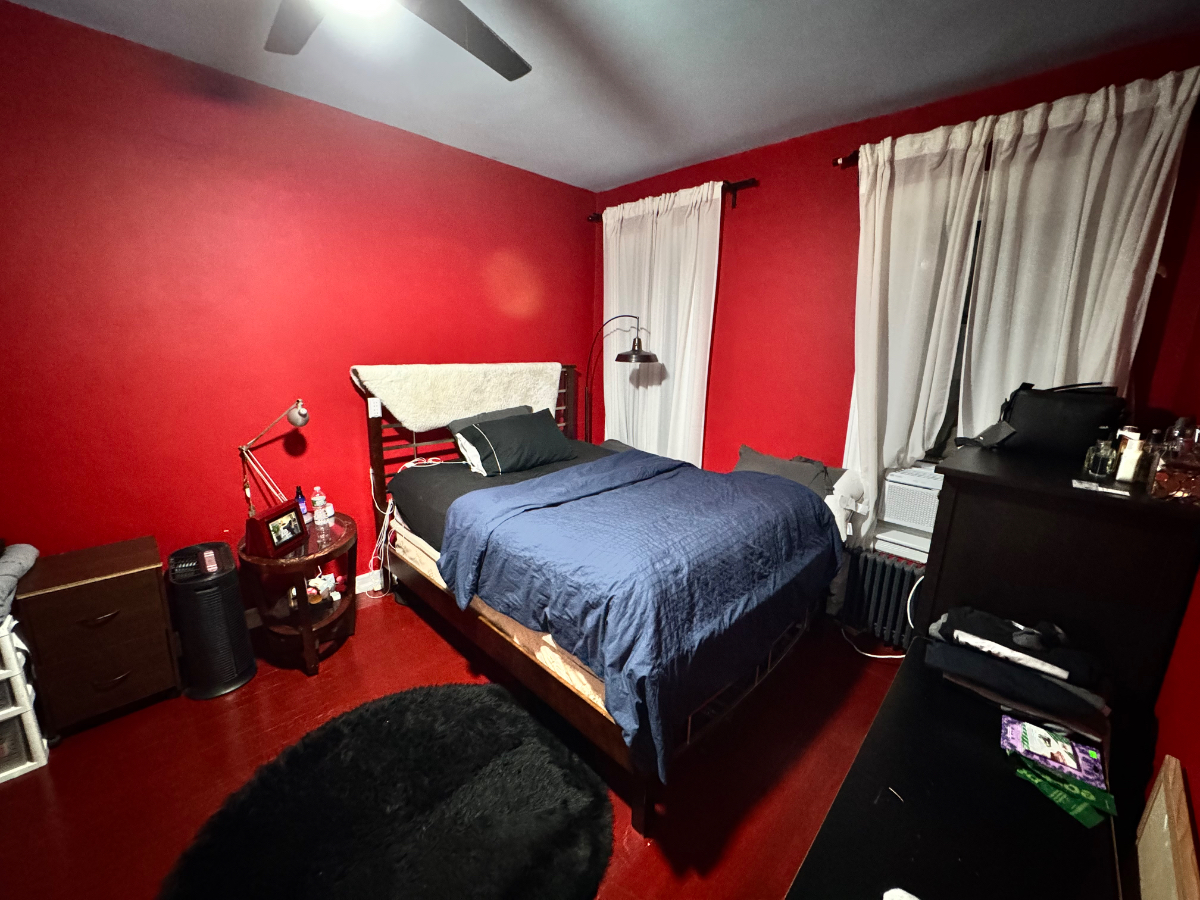 large one bedroom in midwood area apt1 - Photo 4