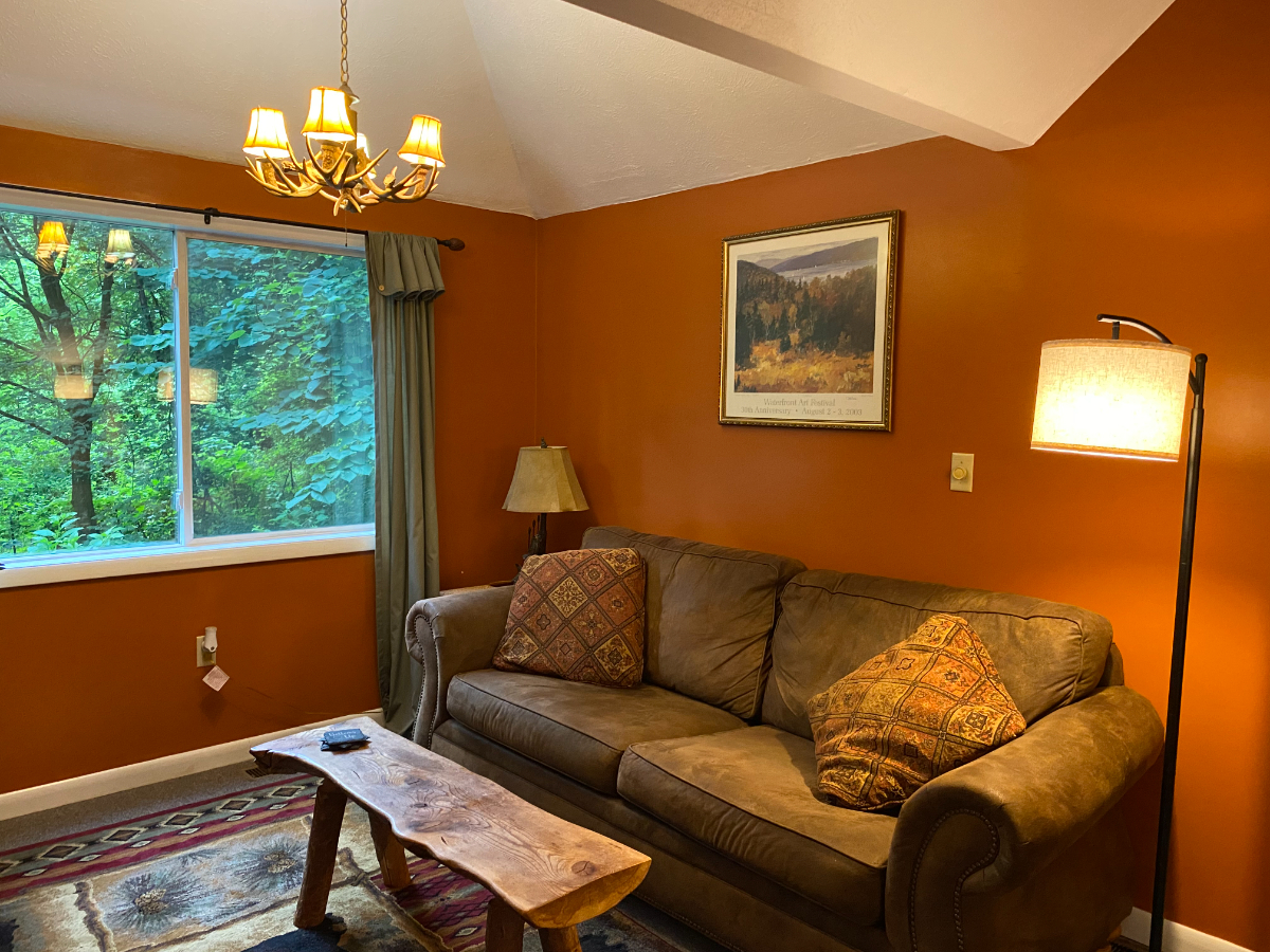 Cottage Apartment in the Bristol Hills - Photo 7