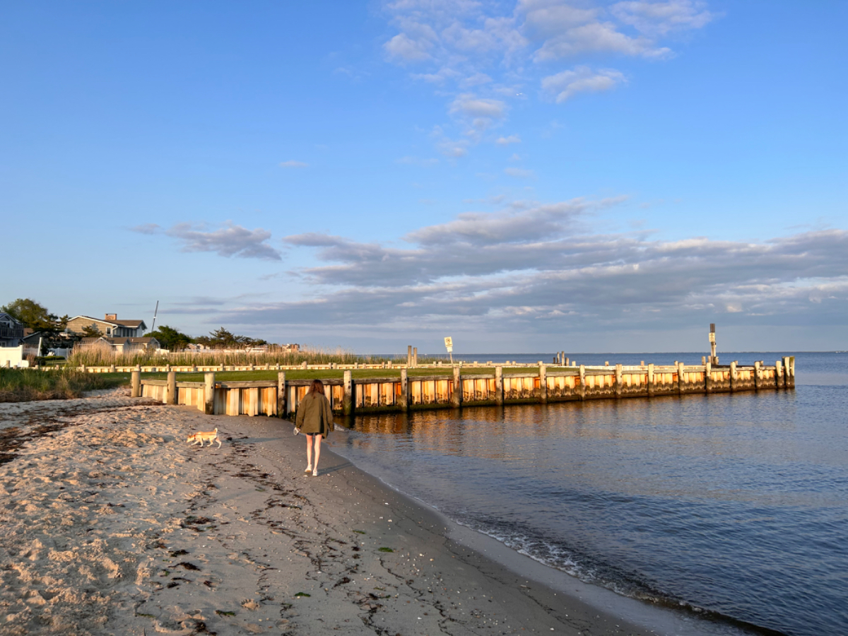 Studio by the Bay - Photo 11