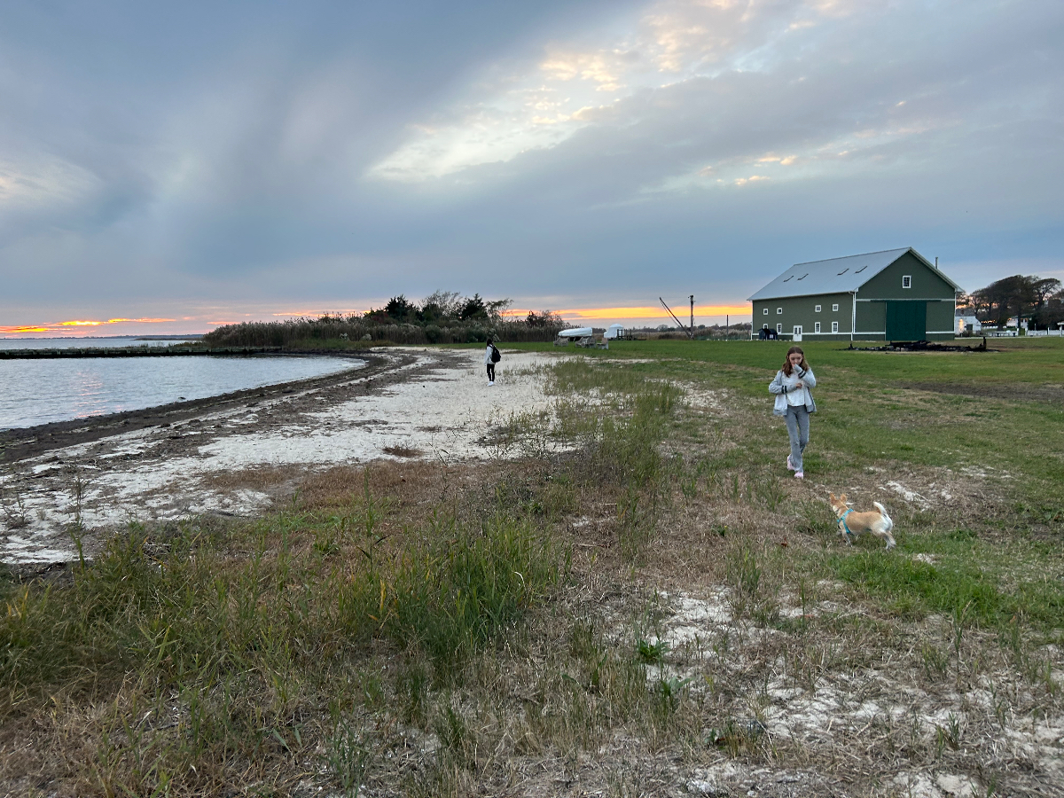 Studio by the Bay - Photo 12
