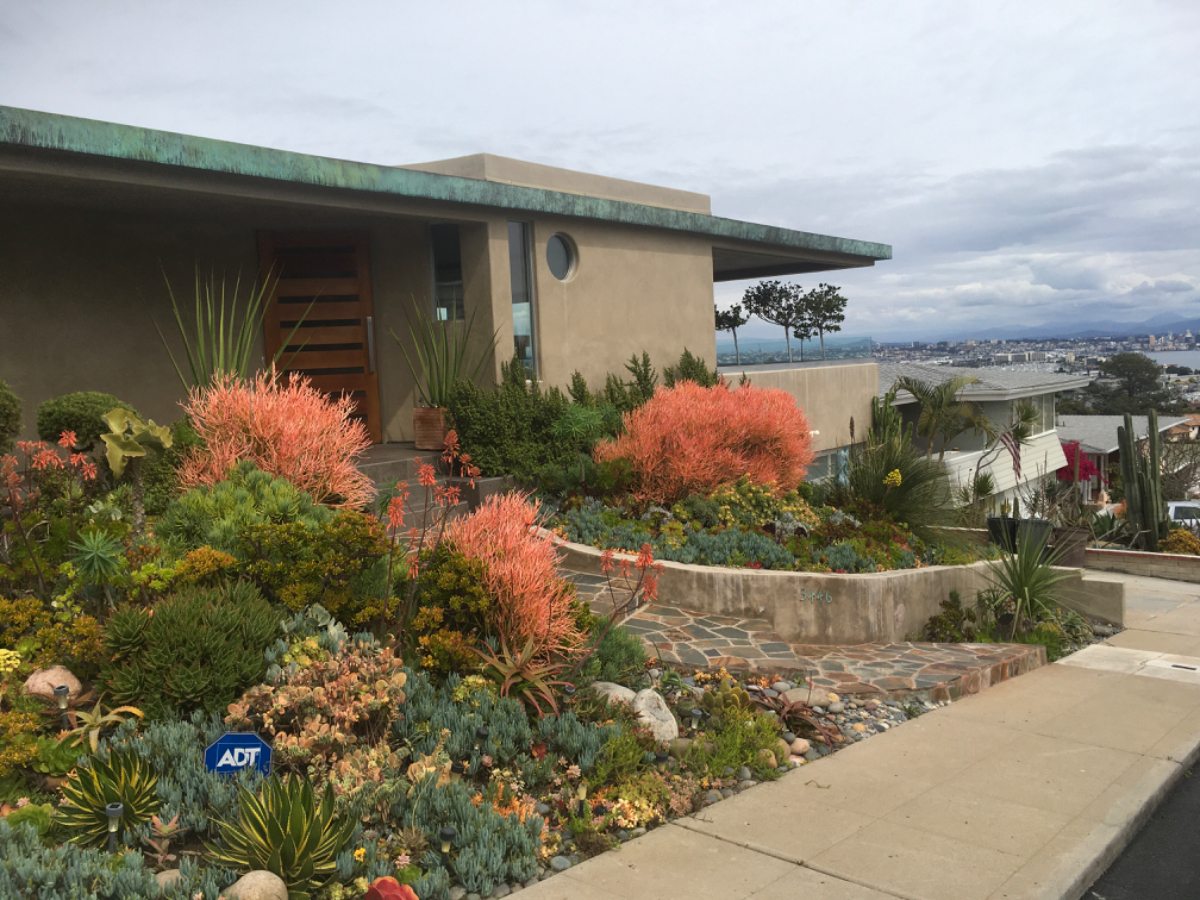 Small Apartment in Point Loma - Photo 2