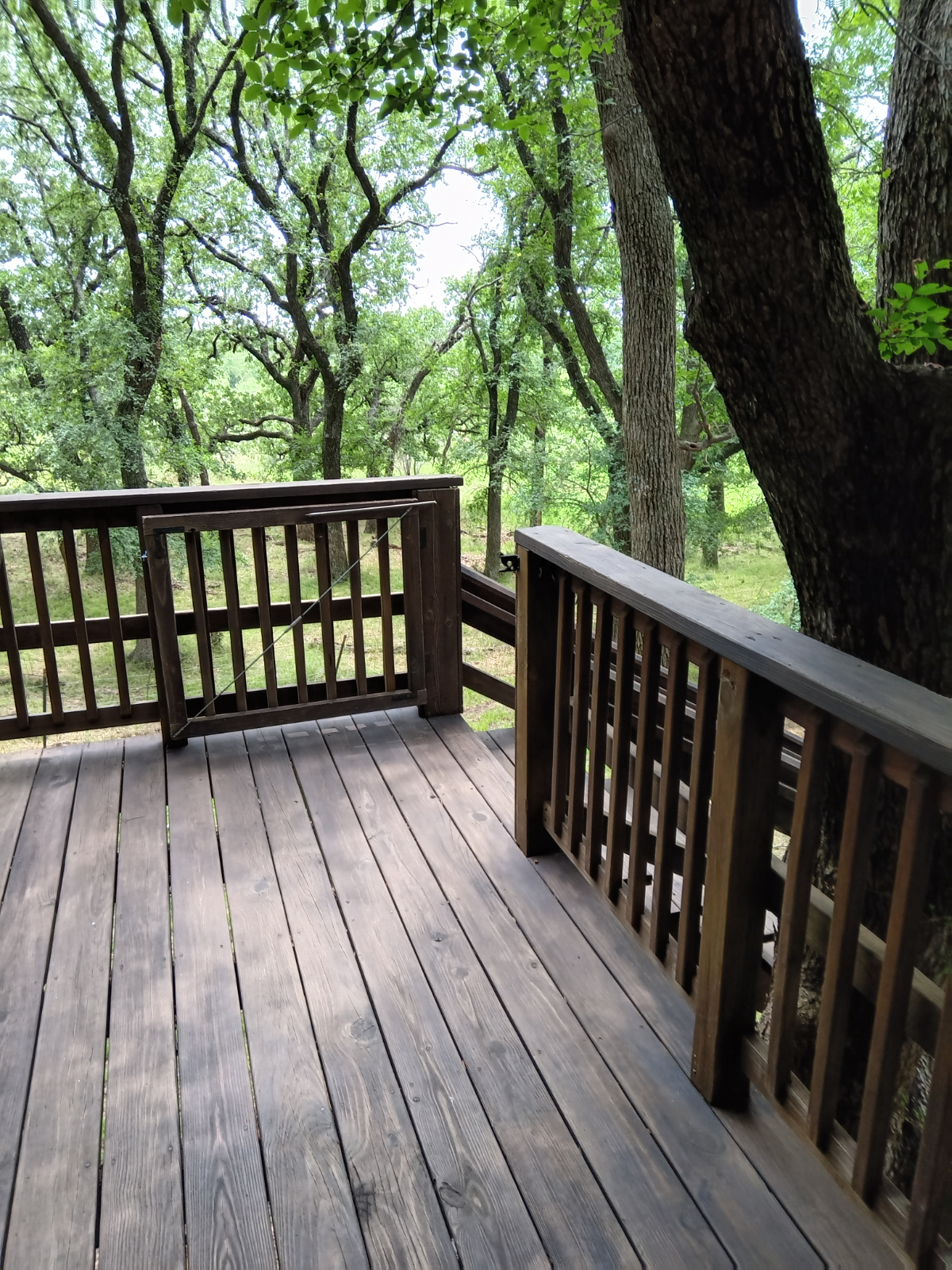 Quiet and Comfy in the Trees. - Photo 8
