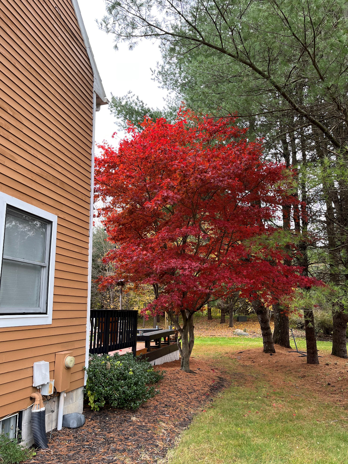 Large Estate Home up to 12 month lease - Photo 11