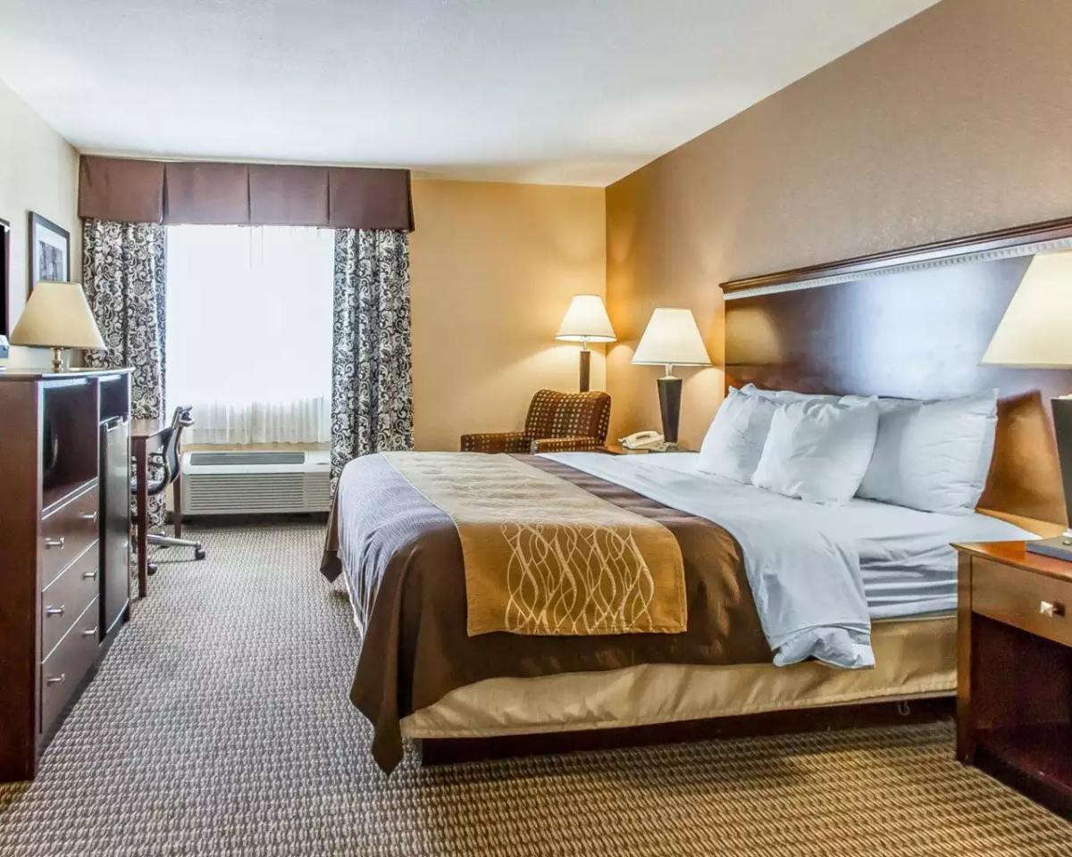 Spacious King Suite