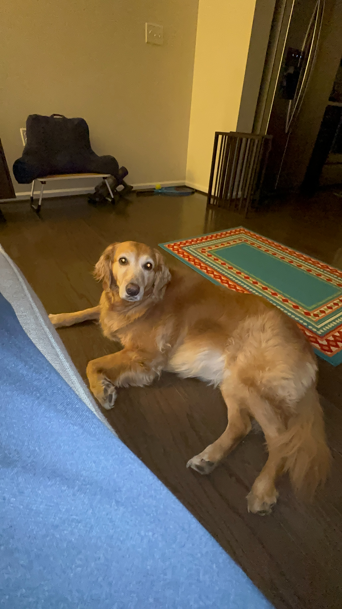 Furnished Rental Unit for Comfort and Convenience At Affordable Price - Photo 6