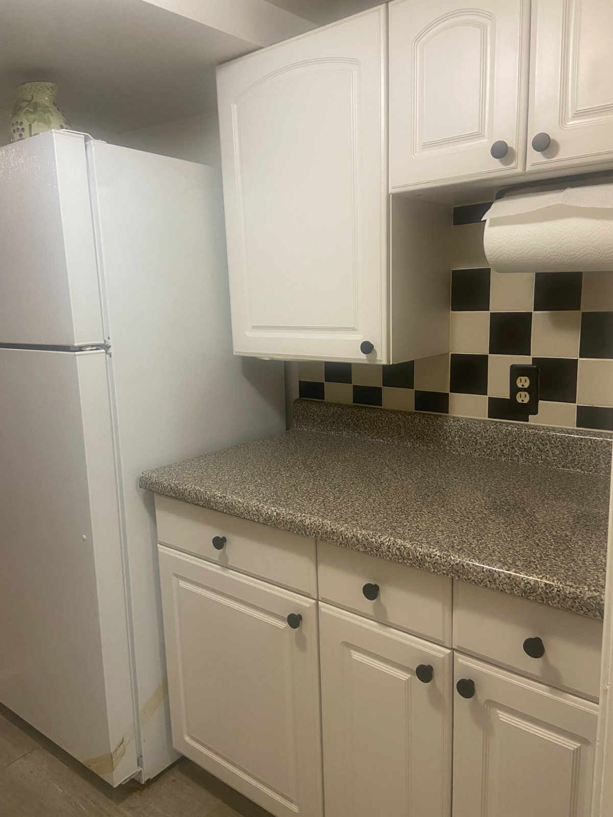 Shepherd Park English Basement Apartment - Photo 3