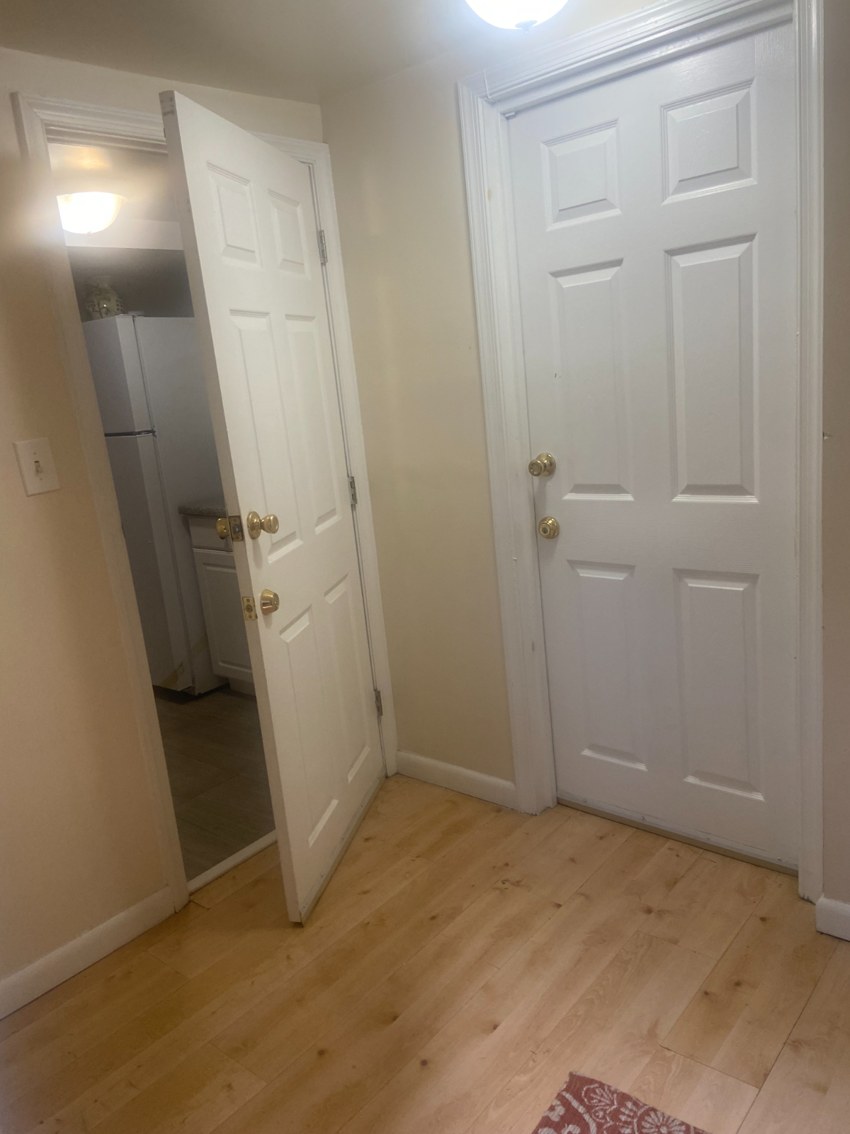 Shepherd Park English Basement Apartment - Photo 2