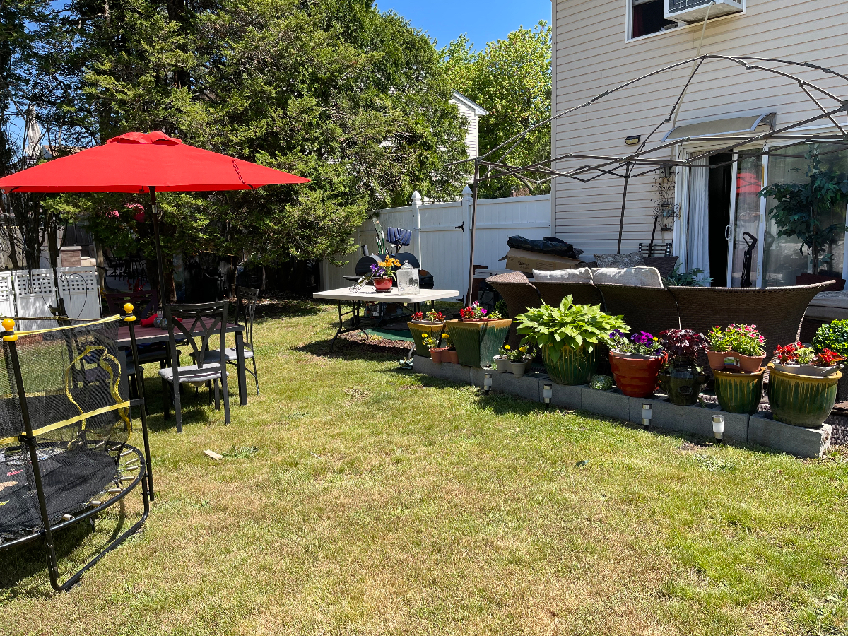 Beautiful one bedroom Apartment with Patio - Photo 4