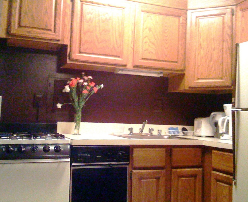 SW DC Studio w/ Balcony - Photo 5