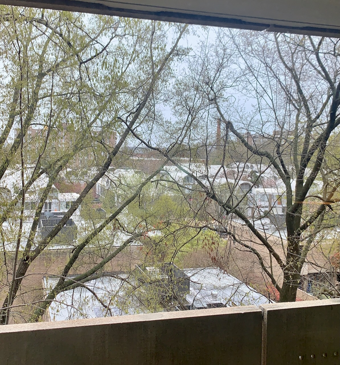 SW DC Studio w/ Balcony - Photo 8