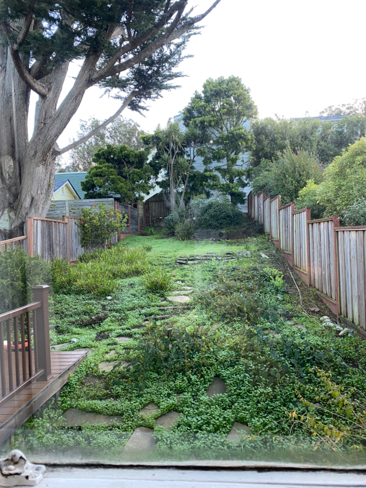 2BR Glen Park home w/garage and yard - Photo 4
