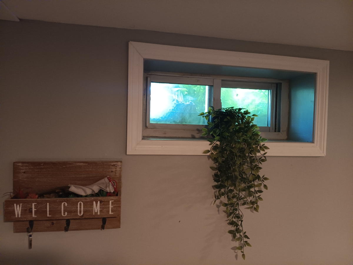 Fully furnished 1 bedroom apt in quiet neighborhood - Photo 3