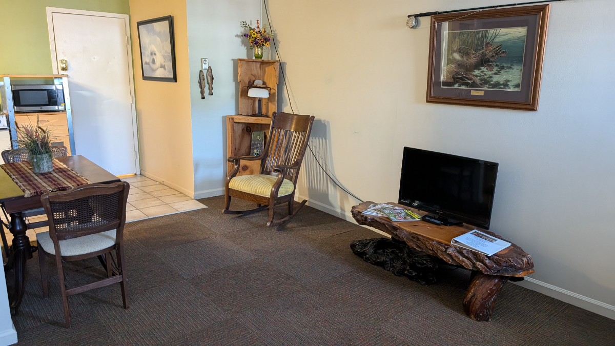 Cozy apartments downtown Hinton,WV - Photo 2