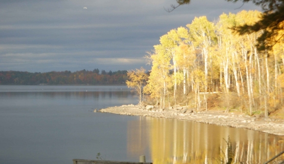 Quiet Cottage on Lake Champlain - Photo 5