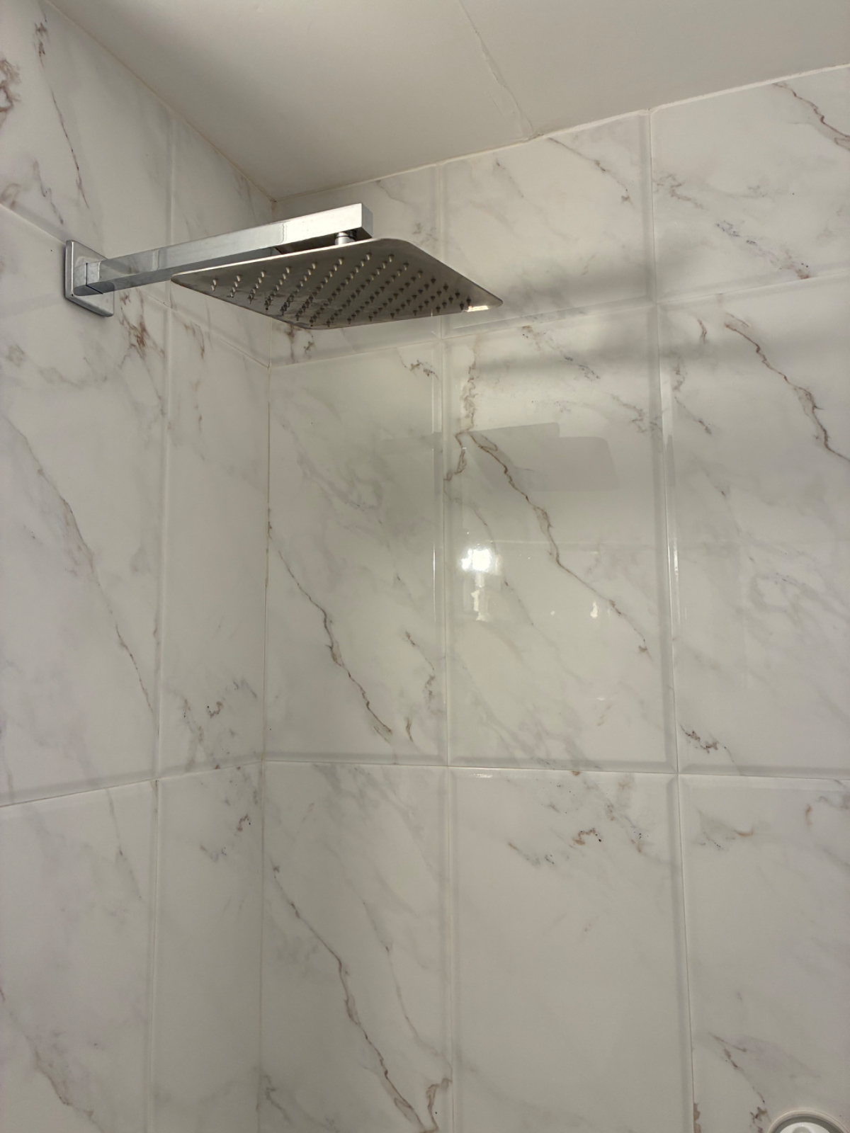 Luxury Condo in Ditmas Park Brooklyn - Photo 12