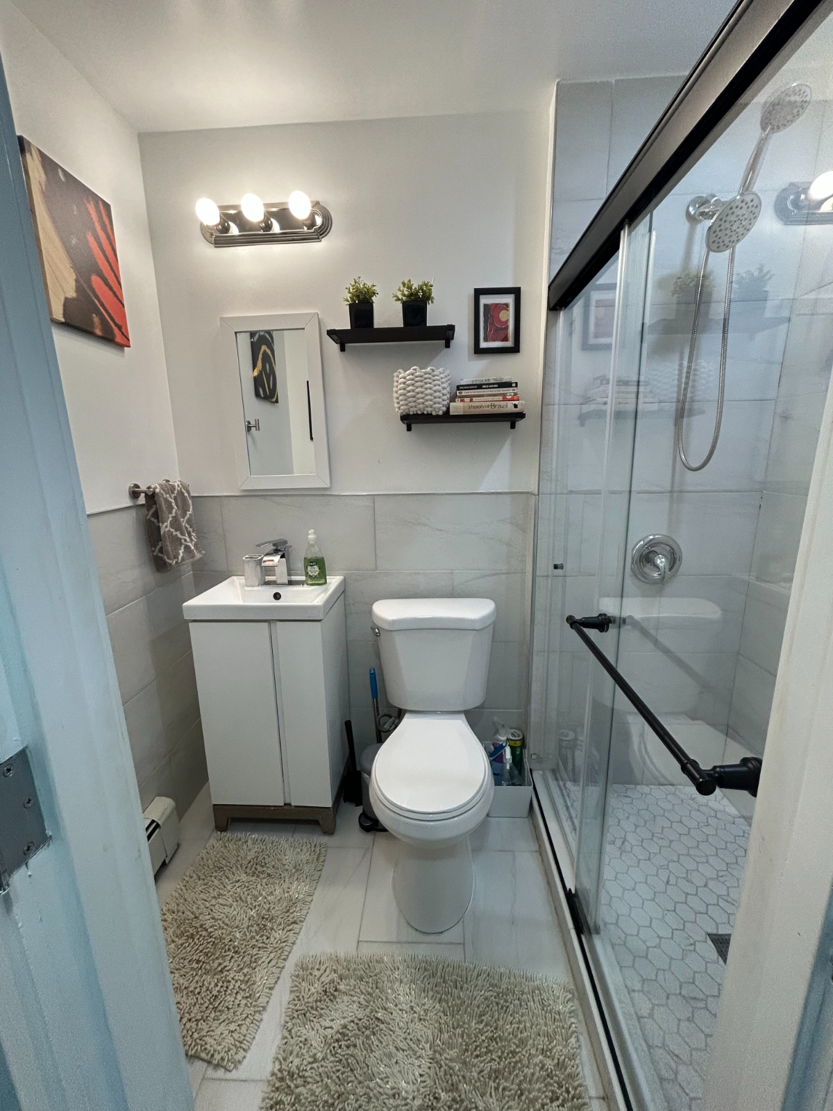 Quiet 2BD/1 Bath Brooklyn Garden Apt (Room Rental Option Available) - Photo 4