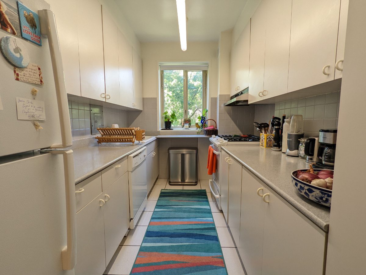 Sunfilled Main room with ensuite bath in Spacious Manhattan Apt Close to NYU - Photo 3