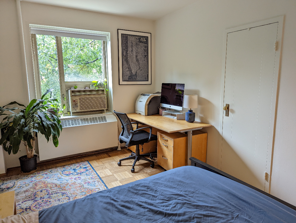 Sunfilled Main room with ensuite bath in Spacious Manhattan Apt Close to NYU - Photo 7
