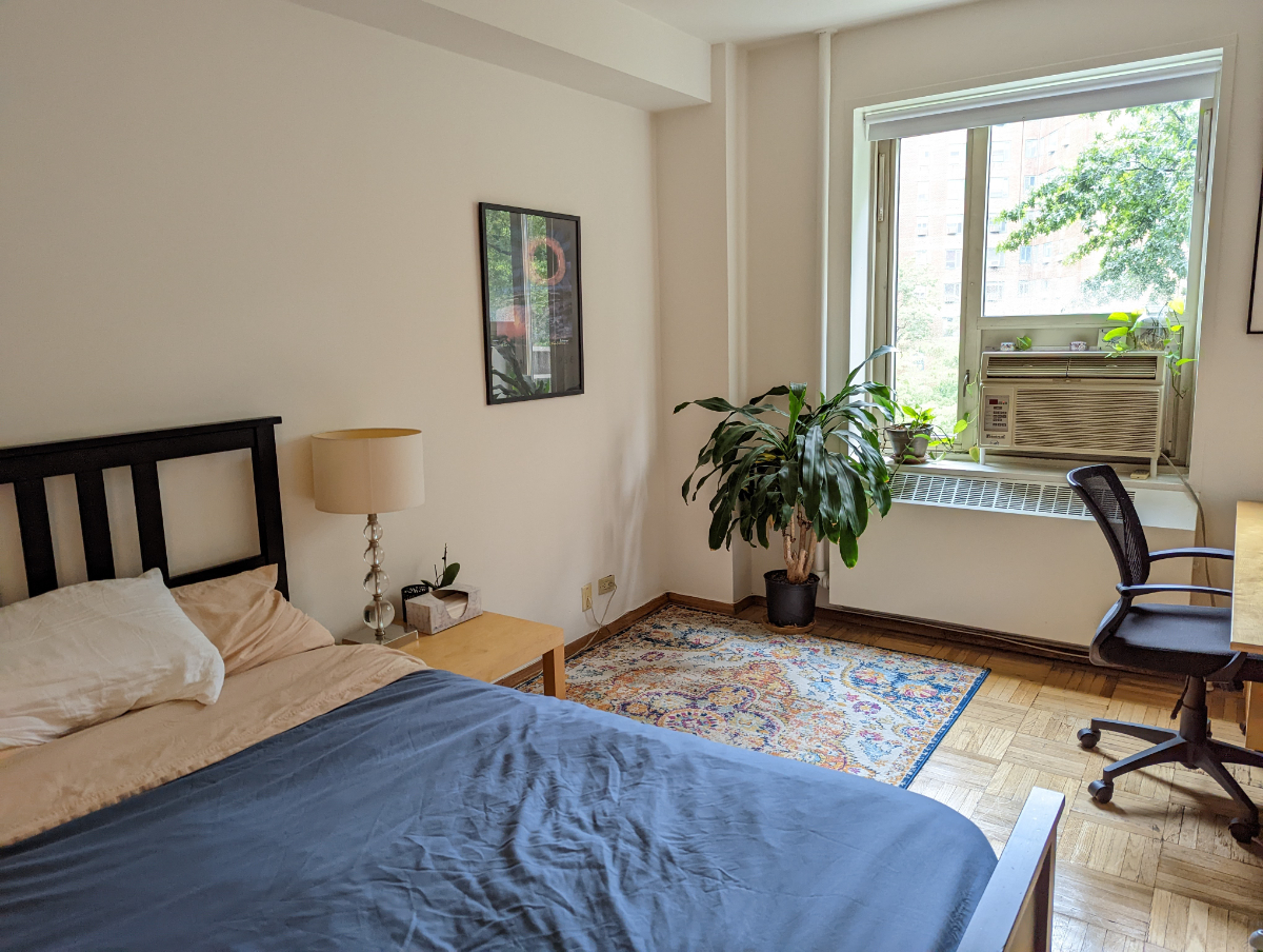 Sunfilled Main room with ensuite bath in Spacious Manhattan Apt Close to NYU - Photo 11