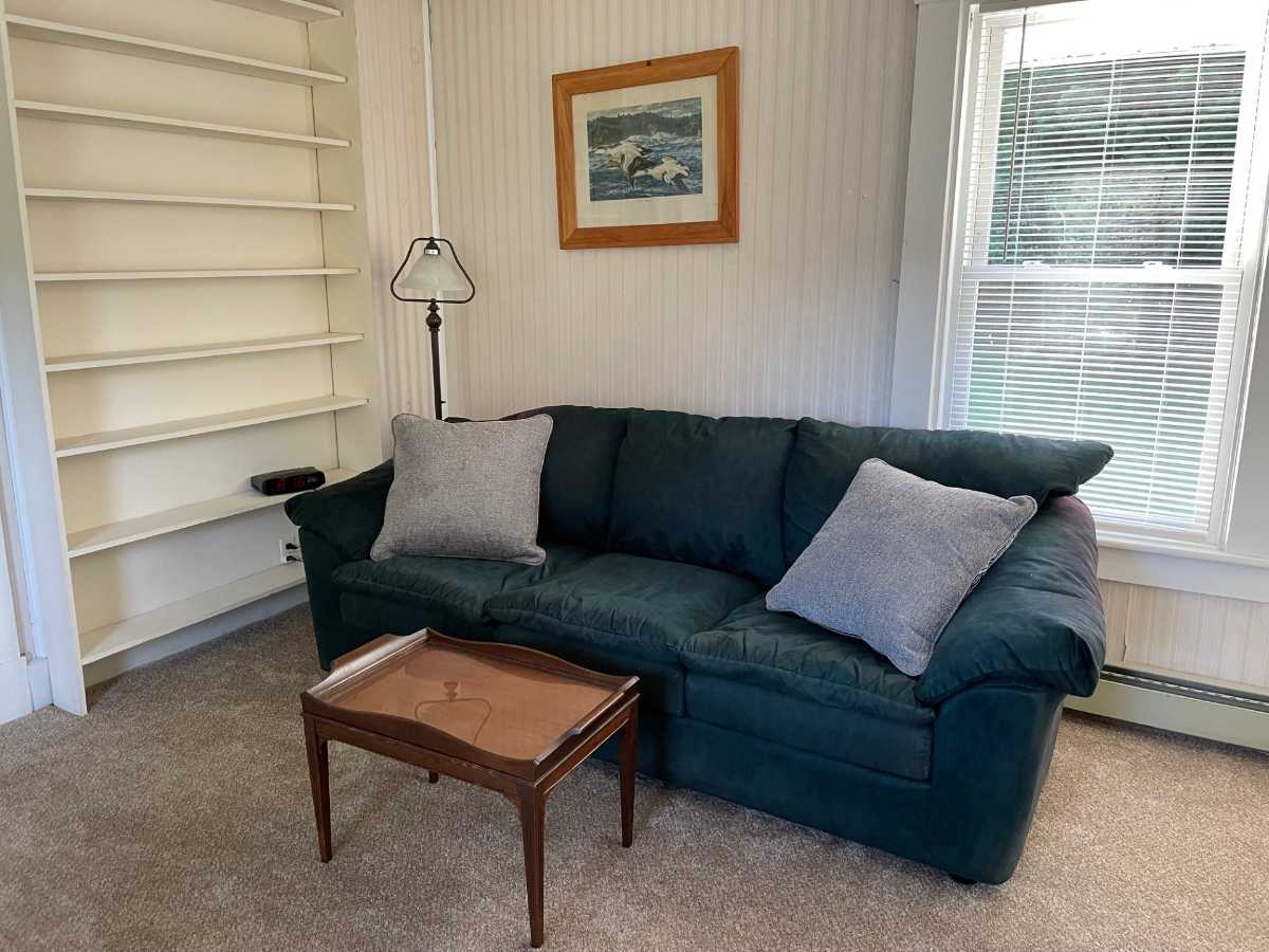 Escape to Tranquility in this Cozy 2-Bedroom Apartment in Proctorsville - Your Home Away from Home A - Photo 5