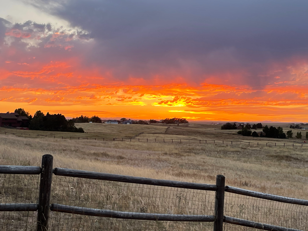 Perfect Private & Peaceful Retreat - Photo 1