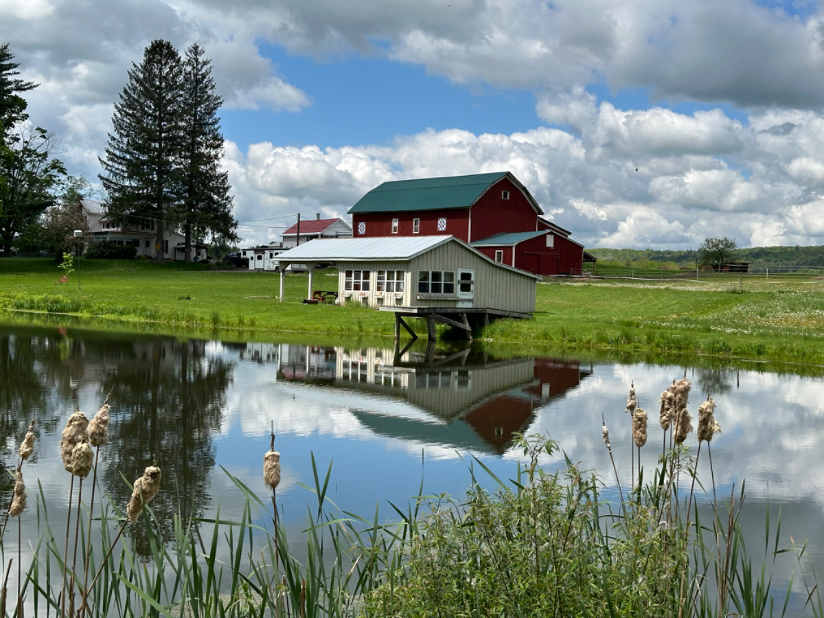 Pristine home with gorgeous views, close to hospitals, price per bedroom - Photo 10