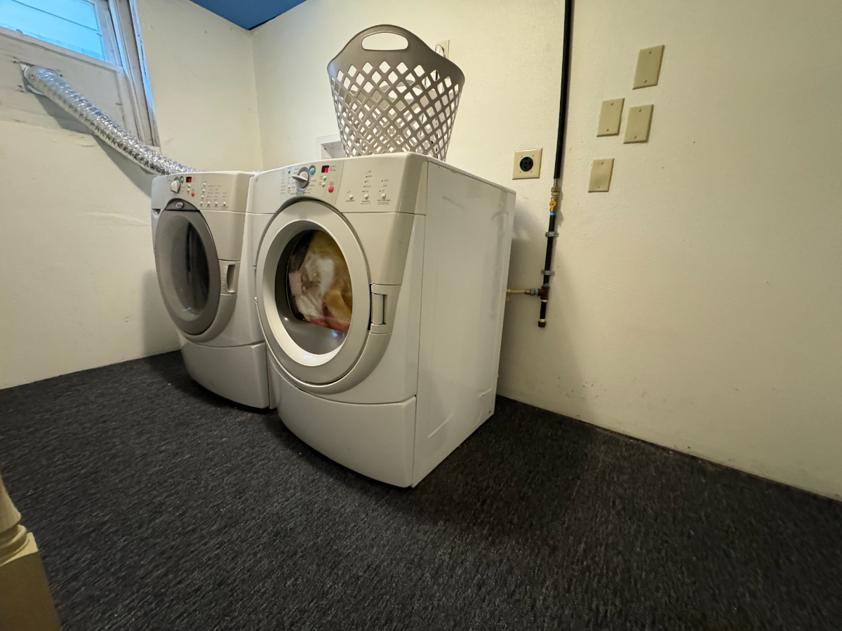 Newly Remodeled, w/Laundry, All Utilities Included - Photo 3