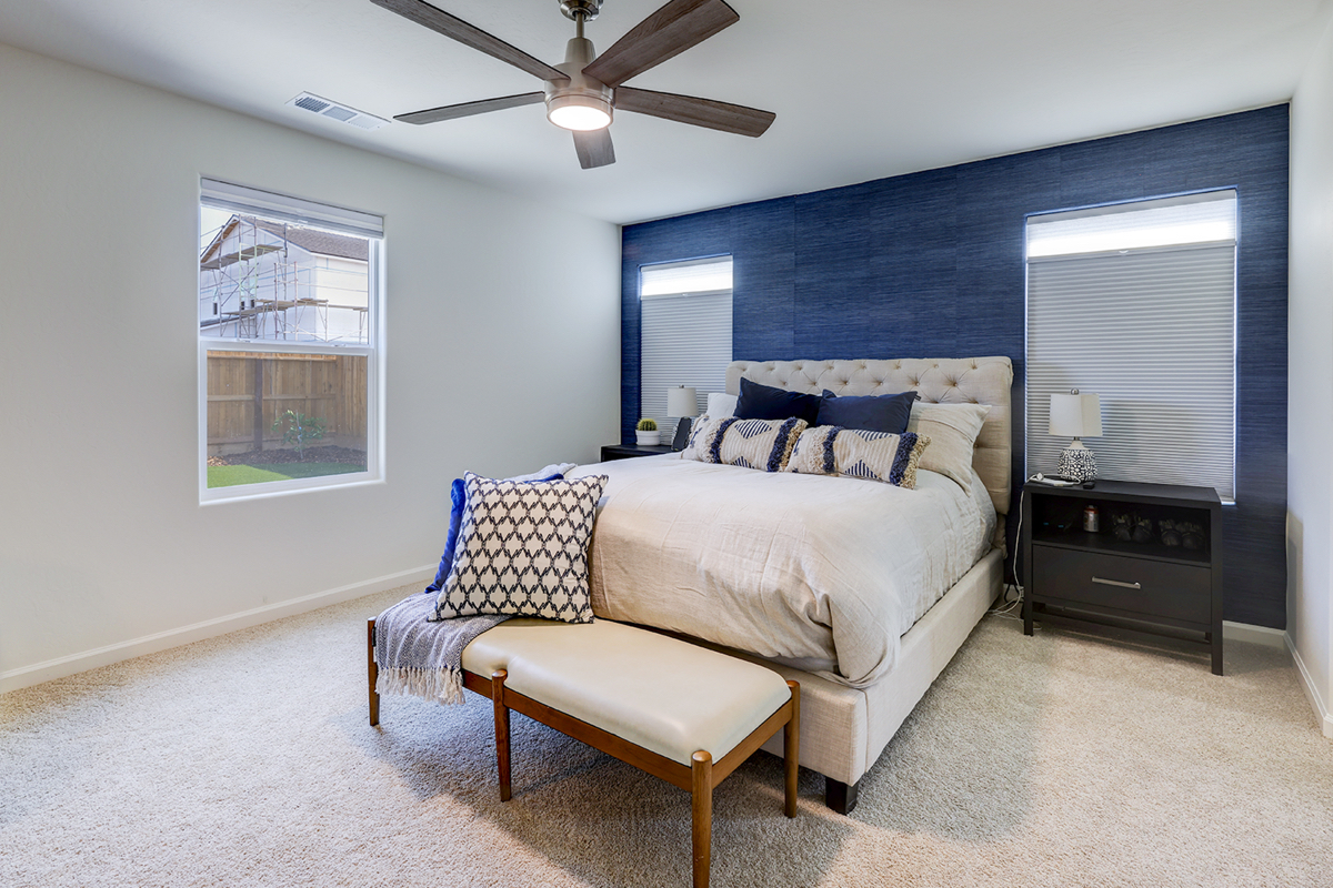 Travel Nurse or Medical Student Dream Living, Multiple Rooms