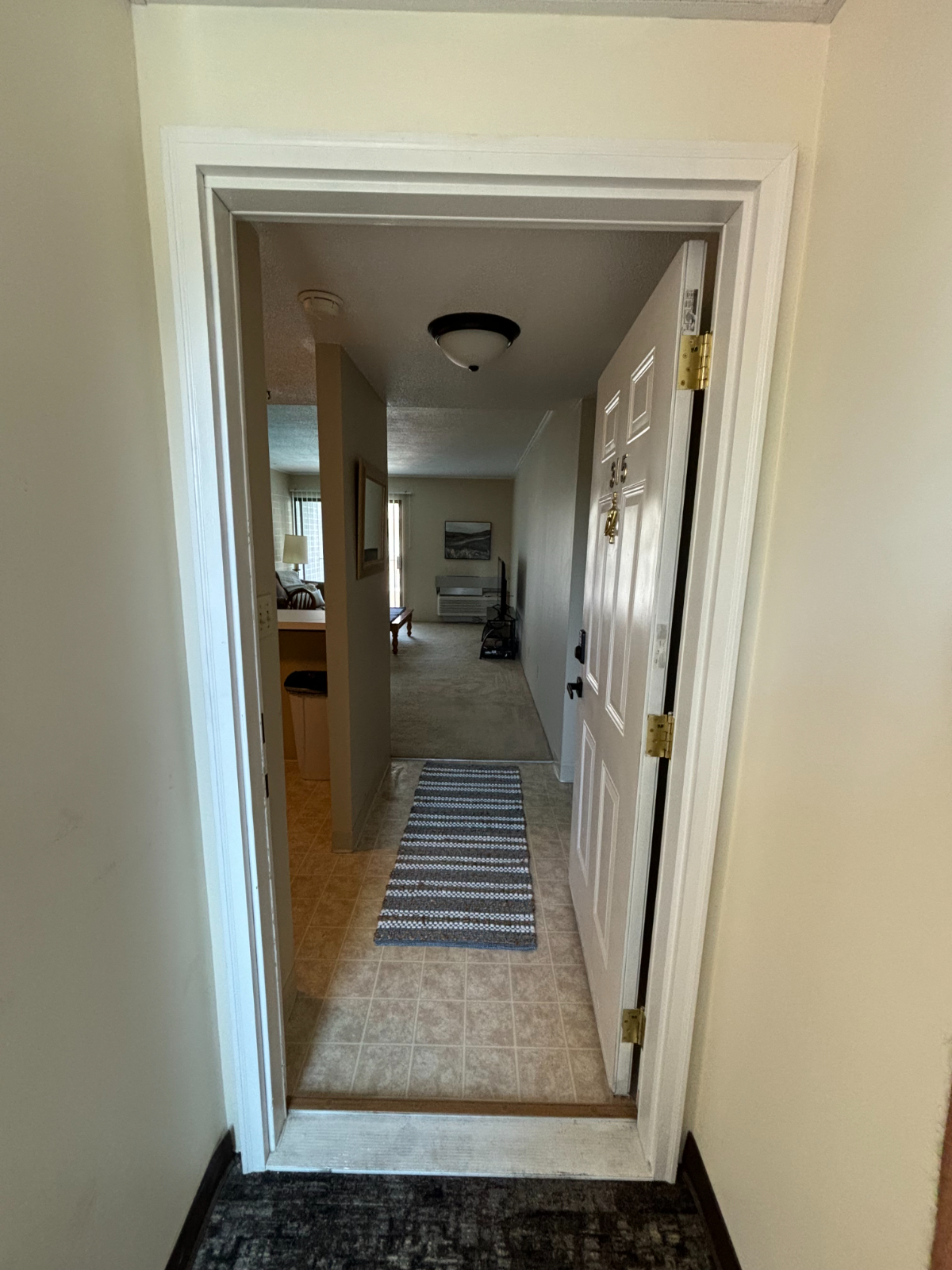 Yellow Brock Road - Photo 1