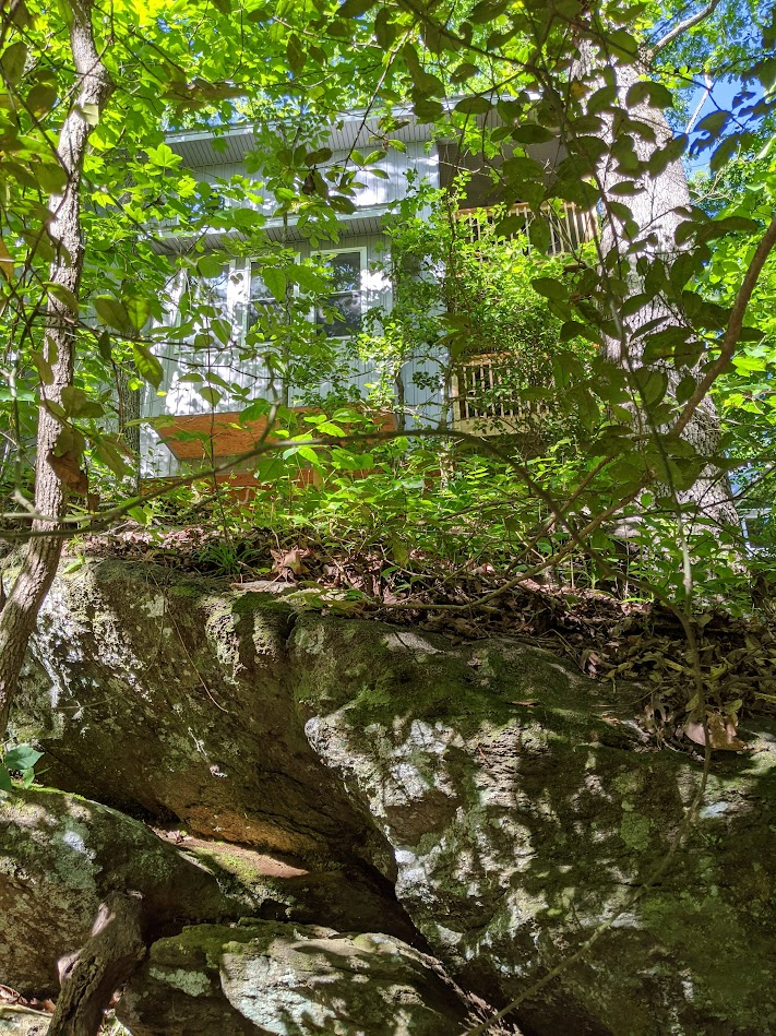 Tree Top River Retreat