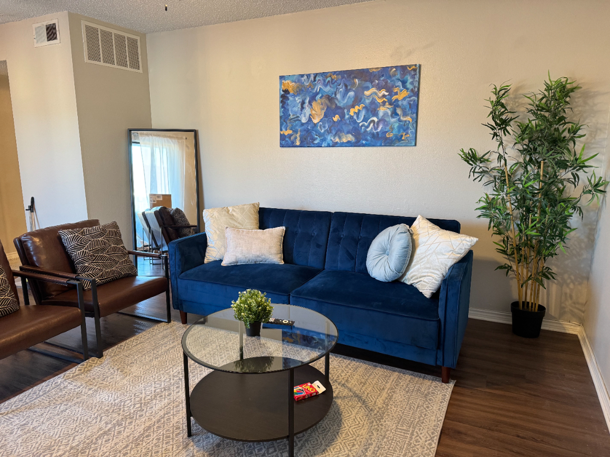 Serene Entire 2 bed 1 bath Apt Frisco