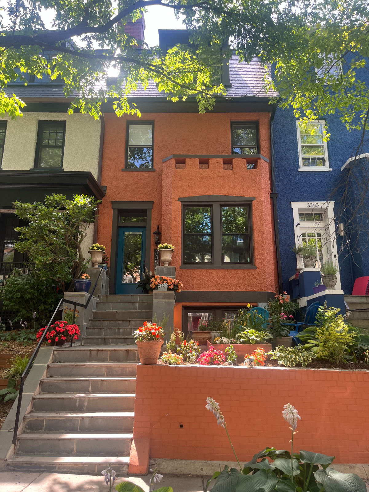 New Renovated Apartment in Beautiful Mount Pleasant - Photo 1