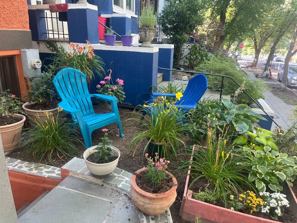 New Renovated Apartment in Beautiful Mount Pleasant - Photo 2