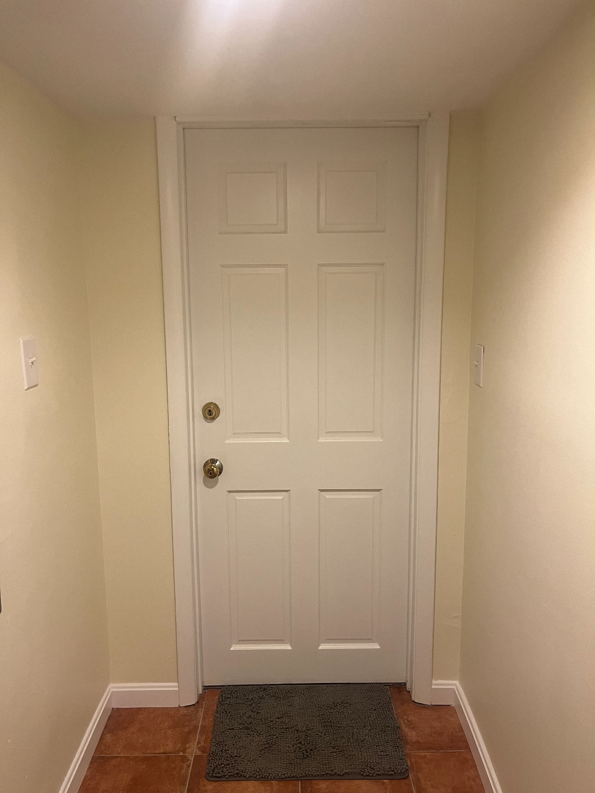 New Renovated Apartment in Beautiful Mount Pleasant - Photo 4