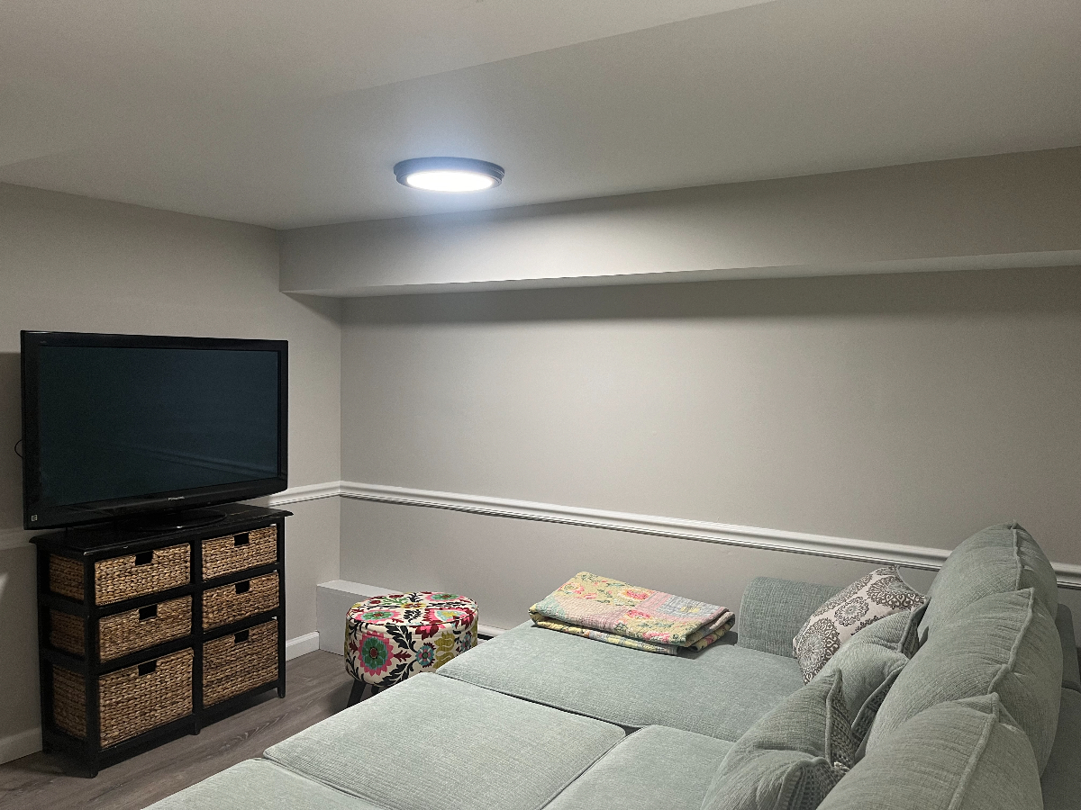 New Renovated Apartment in Beautiful Mount Pleasant - Photo 12