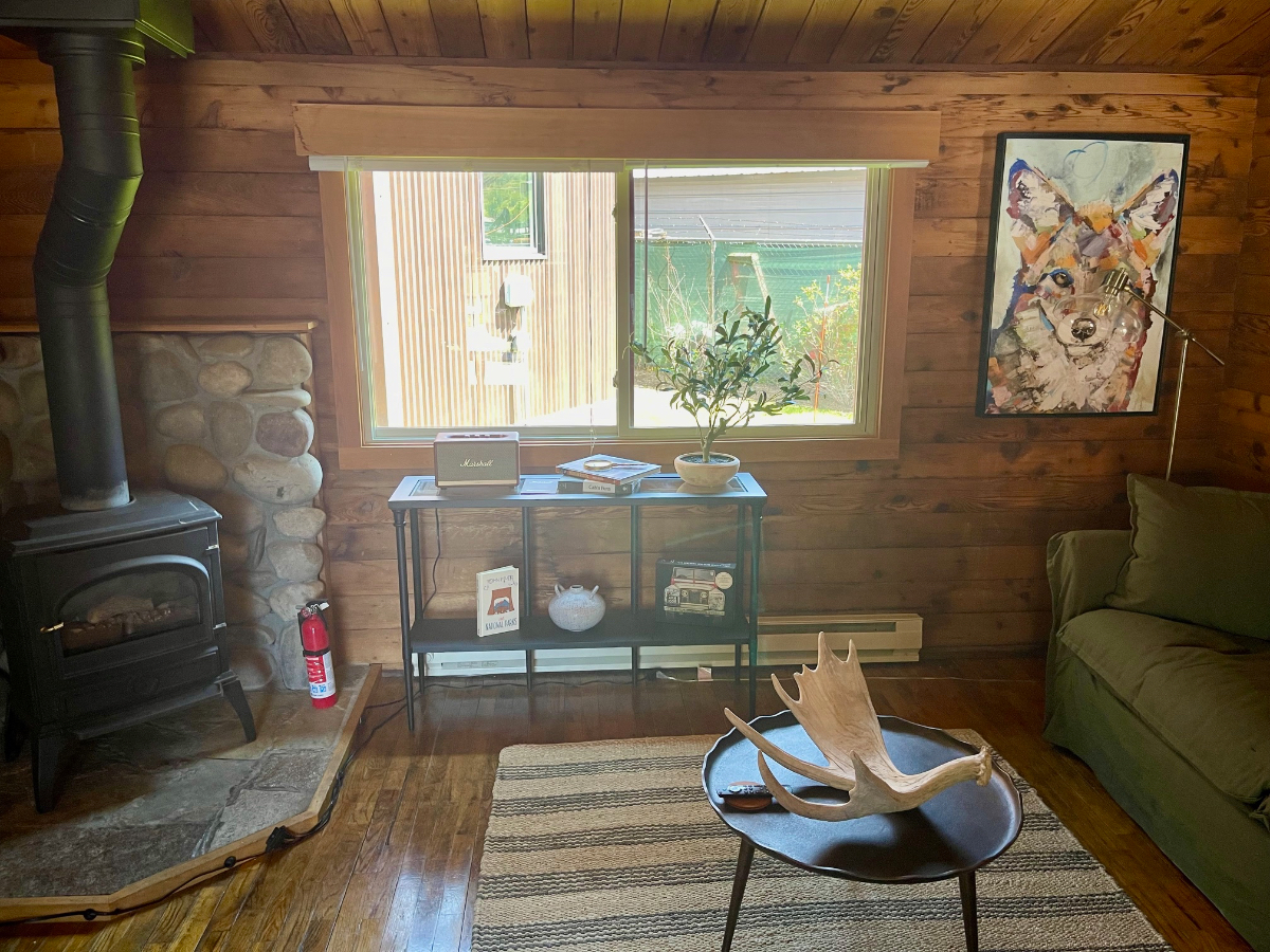 Gregory Lane - 2 bedroom/1 bath log cabin - Photo 10