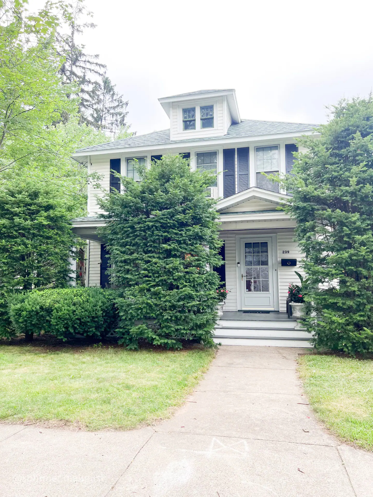 Classic Family Home Walkable and Dog Friendly - Photo 1